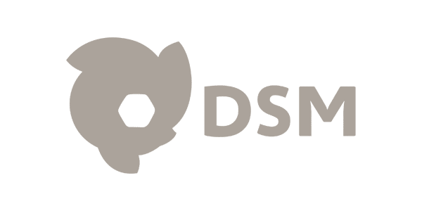 Logo | DSM | Gray